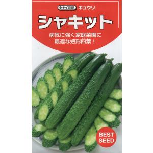 きゅうり シャキット 15粒 タキイ種苗（株） DF : グリーンロフト