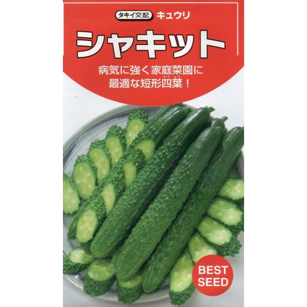 キュウリ　シャキット　小袋　15粒入り　　郵便発送商品