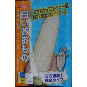 野菜の種/種子 ゴールドラッシュ88・とうもろこし トウモロコシ 2000粒