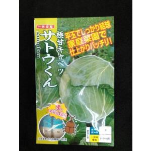 とうもろこし ミルキーシュガー 85(2000粒) トキタ種苗 : グリーン
