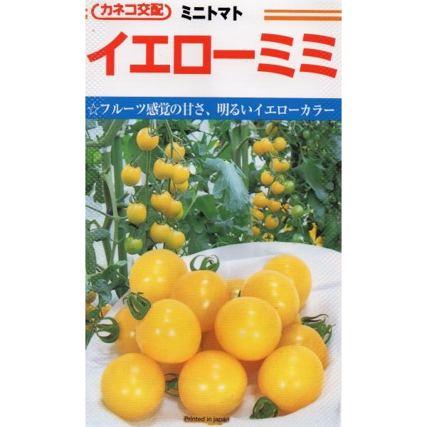 ミニトマト　イエローミミ　小袋　10粒入り　郵便発送商品