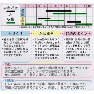 四月しろな 小袋 8ml入り 郵便発送商品の詳細画像1