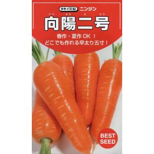 ニンジン 向陽二号 ペレット種子700粒入り 郵便発送商品 : タネの