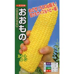 トウモロコシ　おおもの 200粒入り　郵便発送商品