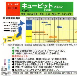メロン キューピット 小袋 7粒入り 郵便発送商品の詳細画像1