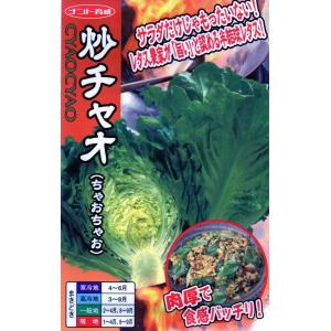 レタス　炒チャオ　小袋　0.7ml入り　郵便発送商品