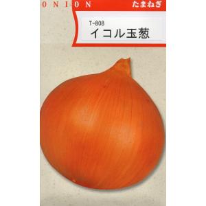 タマネギ　イコル（寒地【北海道・東北北部（秋田県・岩手県以北）】向き品種）　小袋　5ml入り　郵便発送商品
