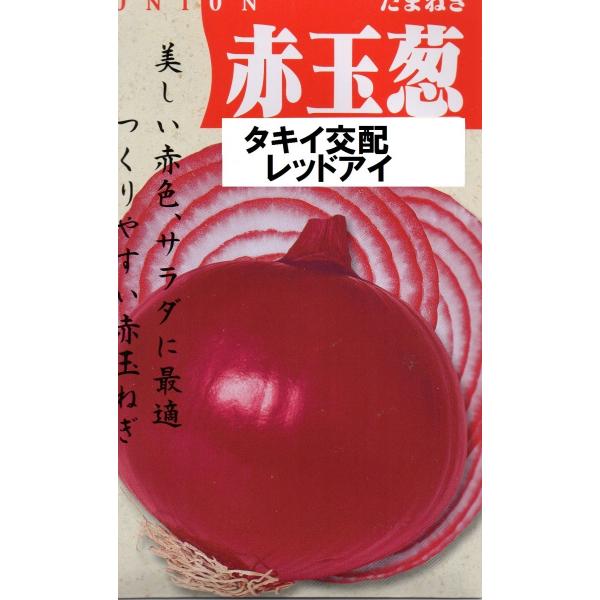 赤タマネギ　レッドアイII（寒地【北海道・東北北部（秋田県・岩手県以北）】向き品種）　小袋　4ml入...