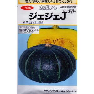 カボチャ ジェジェｊ 品種登録 小袋 14粒入り 最安値 価格比較 Yahoo ショッピング 口コミ 評判からも探せる