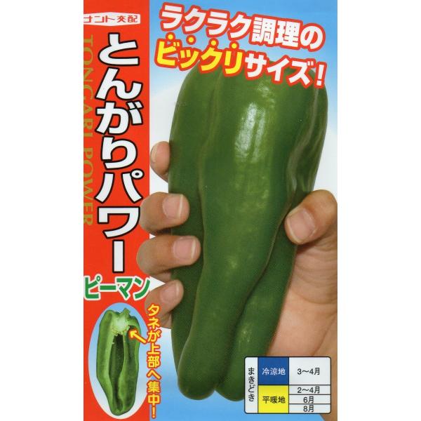 ピーマン　とんがりパワー　小袋　20粒入り　郵便発送商品