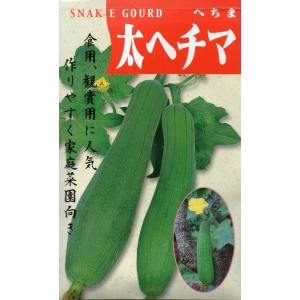 へちま　太ヘチマ　小袋　10ml入り　　郵便商品
