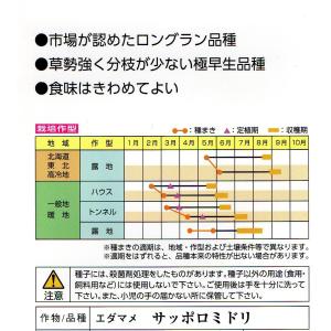 エダマメ サッポロミドリ 小袋30ml 郵便発送商品の詳細画像1