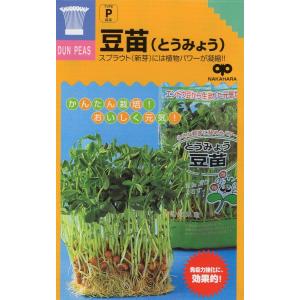 野菜・種/苗 エシャレット・エシャロット 生もの種 量り売り 200g