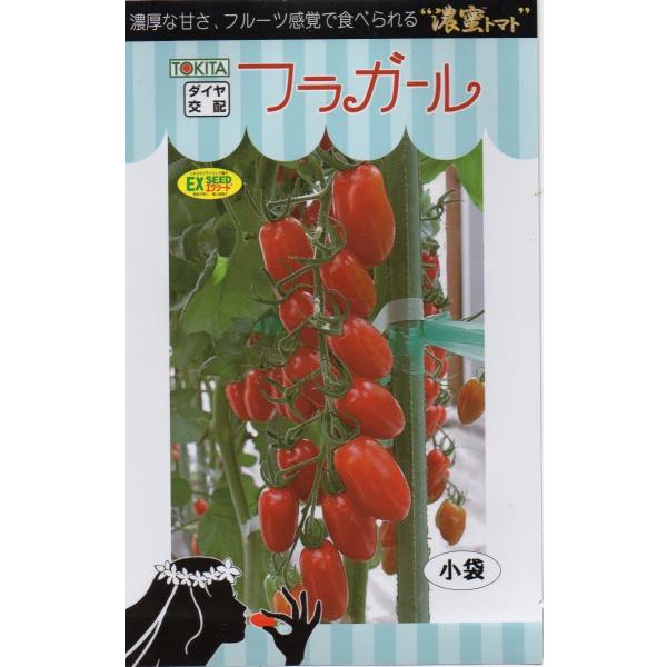 ミニトマト　フラガール　小袋　8粒入り　郵便発送商品
