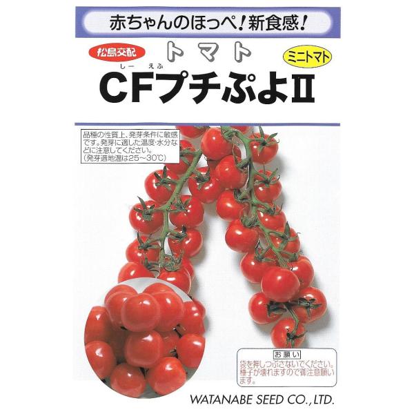 ミニトマト　CFプチぷよII　小袋　7粒入り　郵便発送商品