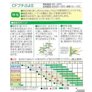 ミニトマト CFプチぷよII 小袋 7粒入り ...の詳細画像1