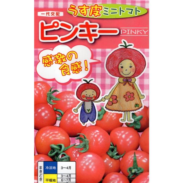 ミニトマト　ピンキー　小袋　15粒入り　郵便発送商品
