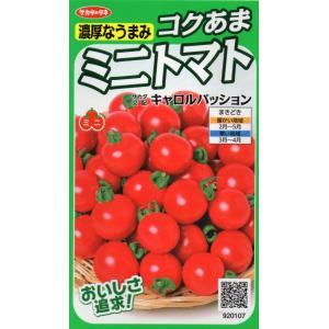 コクあまミニトマト　キャロルパッション　小袋　12粒入り　郵便発送商品｜tanenonozaki