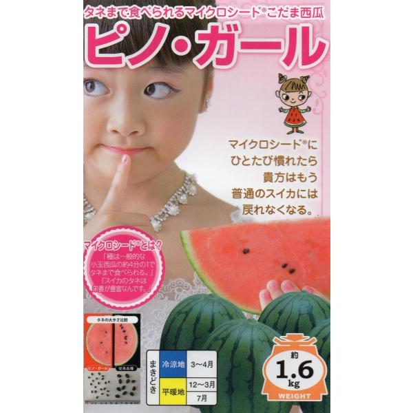 スイカ　ピノ・ガール　小袋　5粒入り　郵便発送商品