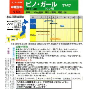 スイカ ピノ・ガール 小袋 5粒入り 郵便発送商品の詳細画像1