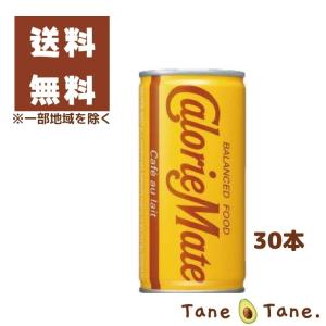 30本　カロリーメイトリキッド　カフェオレ　200ml　1ケース　送料無料※一部地域除く