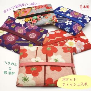 aurora ポケットティッシュケース一体ポーチ 日本製ポケットティッシュ