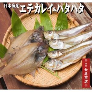 日本海産 干物セット　ハタハタ4枚＆エテカレイ2枚　一夜干し夕日ヶ浦温泉旅館の朝食にも利用冷凍敬老の...