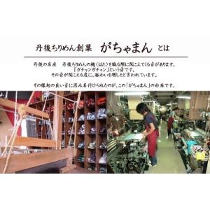 御菓子司あん がちゃまん 5個入京都丹後 もち...の詳細画像1