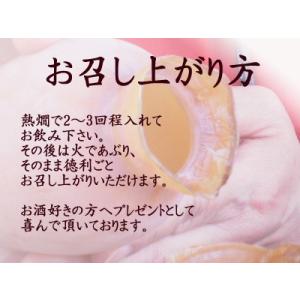 京都丹後 徳利いか1個 宮津 鞍岡商店するめい...の詳細画像2