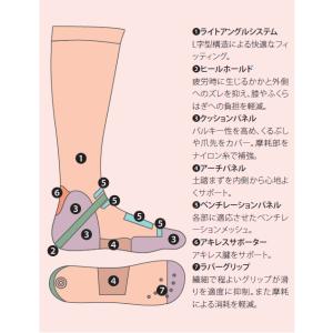 ワールドダイブ エルフィット・プラス ドライス...の詳細画像1