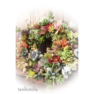 多肉植物 リースのアレンジメント 25cm カ...の詳細画像1