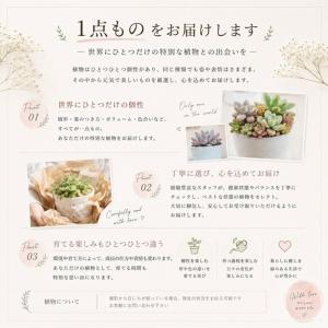 ビンテージスクエアーのギフト 9種アソート 寄...の詳細画像5