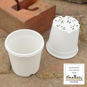 プラスチック鉢 A-25 2.5号 白 苗用 間口6.8cm 多肉植物のプラスチック鉢