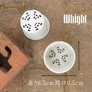 プラスチック鉢 A-25 2.5号 白 苗用 ...の詳細画像1