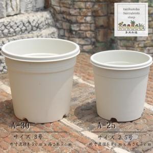 プラスチック鉢 A-30 3号 白 苗用 多肉植物のプラスチック鉢