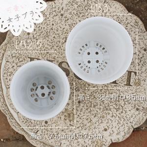 プラスチック鉢 LB 白 3号 苗用 間口8....の詳細画像1