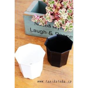 シャトル鉢2.5寸 10個 八角 白鉢 黒鉢 苗用 間口7.5cm 多肉植物にピッタリ プラスチック鉢通販　白プラスチック鉢 黒プラスチック鉢
