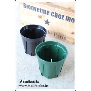 スリット鉢2号 緑 黒 苗用 間口6.5cm 多肉植物にピッタリなスリット鉢 多肉植物鉢 多肉植物プラ鉢通販