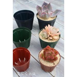 スリット鉢3号 緑 苗用 間口9cm 多肉植物にピッタリなスリット鉢