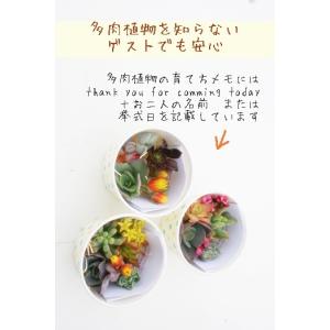ドットカップのプチギフト お洒落な2次会プチギ...の詳細画像3
