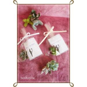 プチギフトS お洒落な2次会プチギフト 新築祝 誕生日祝 開店祝 結婚式プチギフト