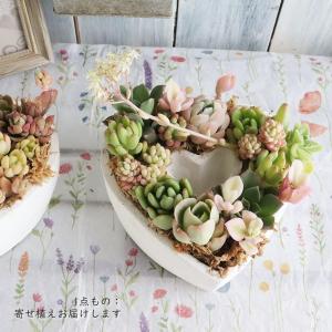 多肉植物 寄せ植え おしゃれ ギャザリングリース20cm 開店祝い 誕生日