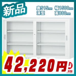 ガラス引戸書庫 深型 H880タイプ キャビネット 書庫 収納 完成品 引違い書庫 戸棚 書棚 新品 送料無料 オフィス家具市場オリジナル製:HCB-TDシリーズ