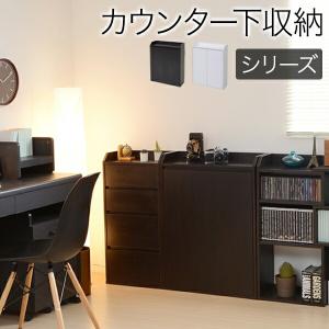 カウンター下収納 扉　幅60 新品 送料無料 YOFHK-0205｜tanimachi008