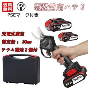 １年保証 剪定ばさみ 充電式 電動 軽量 枝切り剪定ばさみ