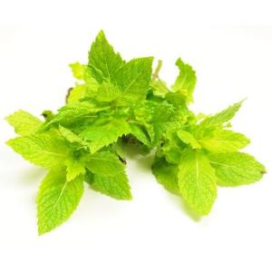 ☆翌週お届けのご品　有機スペアミント（お茶・モヒート用）　10g