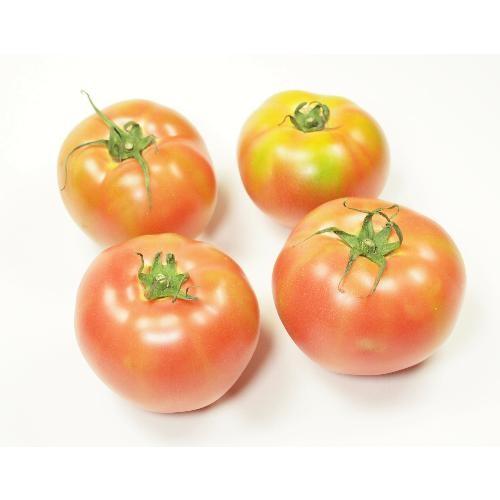 トマト　1kg