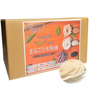 胚芽めん15食 まるごと米粉麺｜tannendo