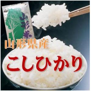 ひとめぼれ 令和7年産 精米無料 山形県産 1等 玄米 30kg 特A 送料無料
