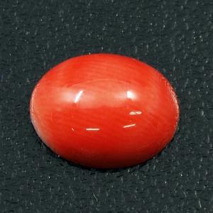 天然サンゴ ルース 裸石 7.628ct 球形 赤珊瑚 さんご レッドコーラル